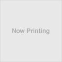 쐐 Princess Color OPTICAL EX vZXJ[IveBJEXDIA14.0mm 11y`RuEz