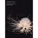 ʗT Jellyfish@q[OA[g@NQ