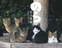 『猫カレンダ-のら  ２０１５』岩合光昭(いわごうみつあき)
