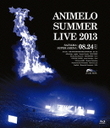 飯田友子 Animelo　Summer　Live　2013　-FLAG　NINE-8．24