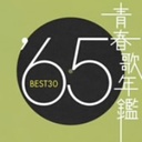 二宮ゆき子 青春歌年鑑　’65　BEST30