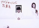 中島知子 アルジャーノンに花束を　DVD-BOX