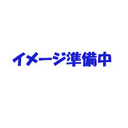 瀧本美織 A．N．JELL　WITH　TBS系金曜ドラマ「美男ですね」MUSIC　COLLECTION