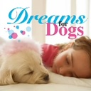 OtDq Dreams@for@Dogs