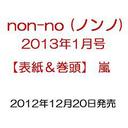 肳 non-no mm 2013N2  G / Wp