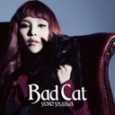 mq Bad@Cat