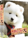 『犬飼さんちの犬　DVD-BOX』佐藤蛾次郎(さとうがじろう)
