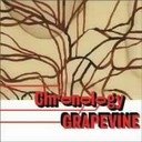 wChronology a young personsf guide to Grapevine/GRAPEVINE OCvoCxk(킾)