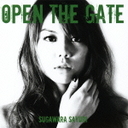 쐟ޕ Open@The@Gate