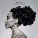 MALIA Malia / Black Orchid A