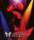 Yc ayumi@hamasaki@COUNTDOWN@LIVE@2010-2011@A@?do@it@again?