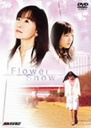 䍁ގq DRAMAGIX@SEIYU@ENERGY@Flower@Snow?t[Xm[?