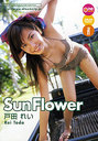 ˓cꂢ ˓cꂢ^Sun@Flower
