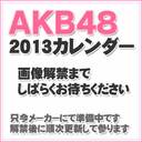 岩佐美咲 AKB48 メンバーズカレンダー B2サイズ 01 板野友美 2013年カレンダー 11月予約