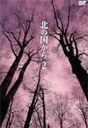 『北の国から　Vol．2』原田美枝子(はらだみえこ)